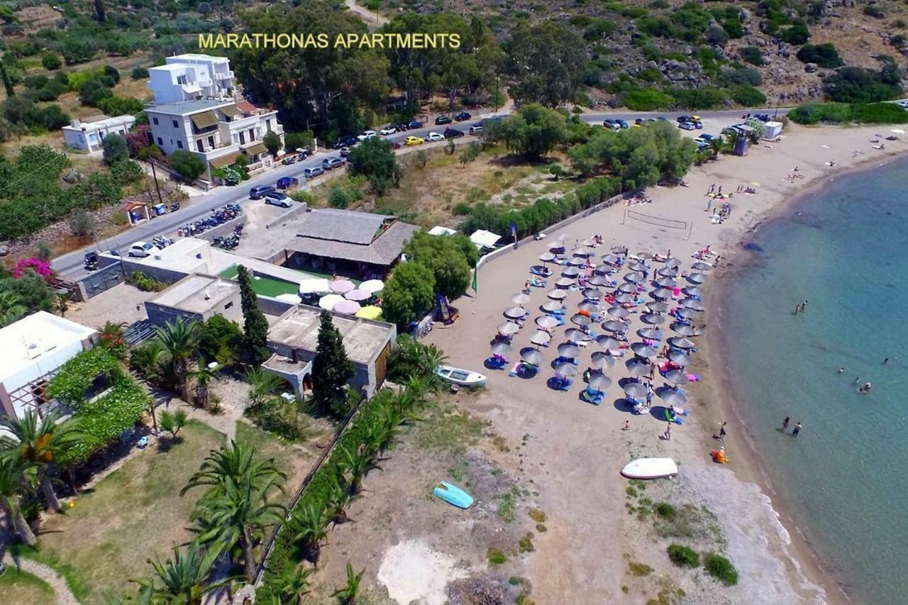 Apartment With Sea View And Balcony 60M From Beach Aegina Dış mekan fotoğraf