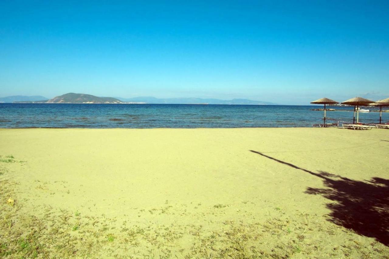 Apartment With Sea View And Balcony 60M From Beach Aegina Dış mekan fotoğraf